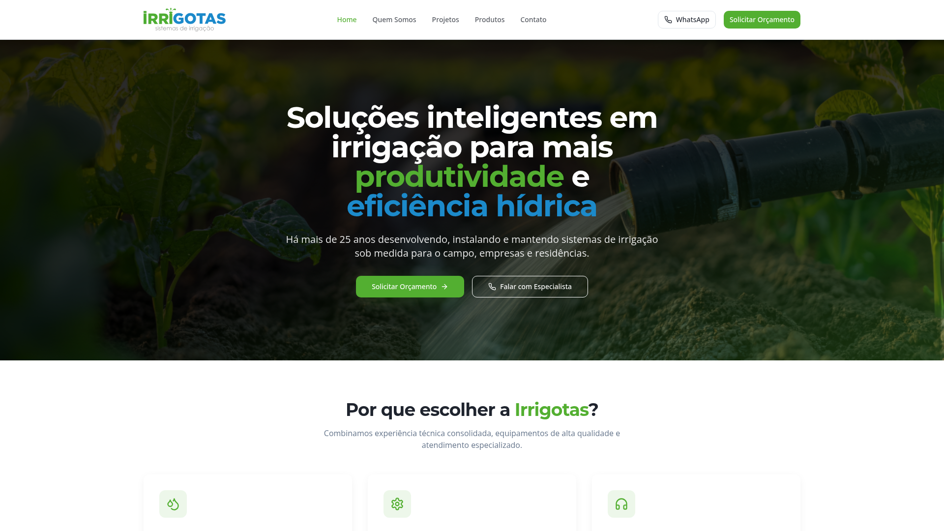 Site da Irrigotas Irrigações